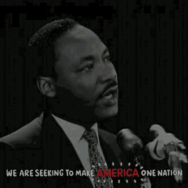 We Are Seeking To Make America One Nation America GIF - We Are Seeking To Make America One Nation America One Nation GIFs