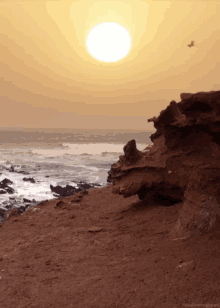 Soare GIF - Sea Nature GIFs