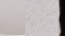 a person standing in front of a white wall