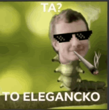 Rozmer Elegancko GIF - Rozmer Elegancko GIFs