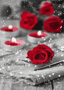 Rose Flowers GIF - Rose Flowers Snow GIFs