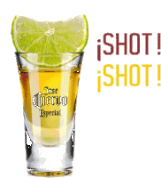 Tequila Shot Sticker - Tequila Shot Drink Stickers