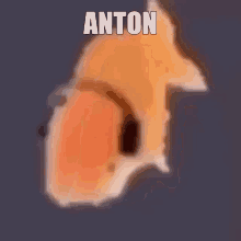 Anton Fish Anton GIF - Anton Fish Anton Fish Headphones GIFs