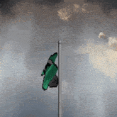 a green and black flag is waving in the wind with a cloudy sky in the background