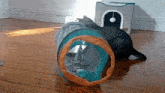 a black cat is playing with a cat tunnel on a wooden floor