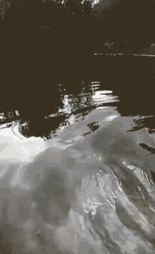water ripple animation gif