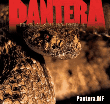 Pantera Panteragif GIF - Pantera Panteragif The Great Southern Trend Kill GIFs