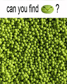 a pile of green peas with the words " can you find " on the bottom