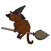 a cat in a witch hat is sitting on a broom