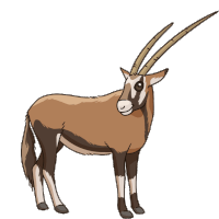 Antelope Gemsbok Sticker