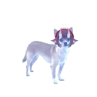 a small white dog with a purple headband on it
