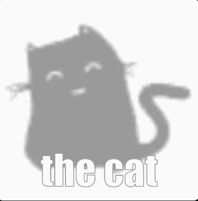 Cat The GIF Cat The The Cat Discover & Share GIFs