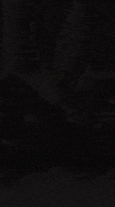 a group of men walking on a red carpet with a flag in the background