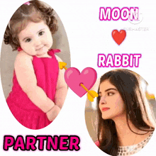 Rabbit Love Moon Moon Love Rabbit GIF - Rabbit Love Moon Moon Love Rabbit Rabbit Lover GIFs