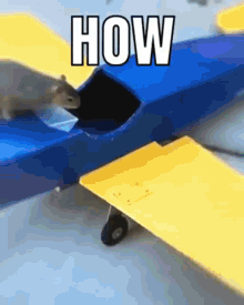 How Squirrel Flying GIF - How Squirrel Flying Plane GIFs