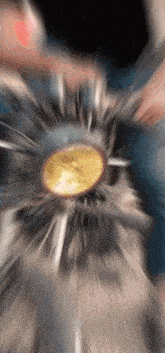a blurry image of a person holding a coin in their hand