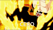 a cartoon character is surrounded by flames and the word cero is on the bottom of the image .