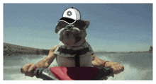 a dog wearing sunglasses and a baseball cap is riding a jet ski