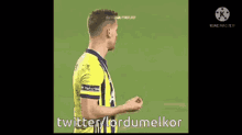 Lordumelkor Fenerbahçe GIF - Lordumelkor Fenerbahçe Serdar Aziz GIFs
