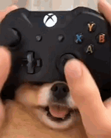 GIF