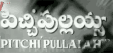 Pichi Pullayya Movie GIF - Pichi Pullayya Movie Title GIFs
