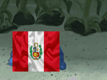 the flag of peru is displayed on a cartoon background