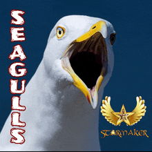 Seagulls Ph GIF - Seagulls Ph GIFs