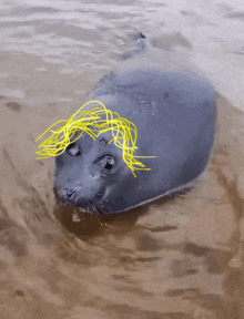 a seal with yellow lines drawn on its face is in the water