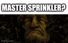 a statue of a man with a beard and the words `` master sprinkler ? '' written above it .