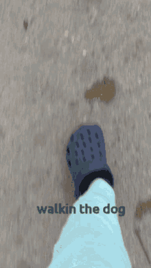 a person walking a dog with the words walkin the dog on the bottom