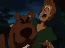 Zoinks Scooby Doo GIF