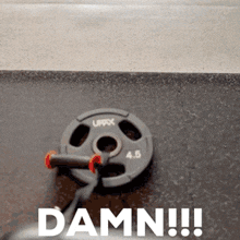 a dumbbell and a weight plate with the word damn on it