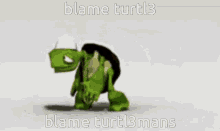 turtle turtlemans dance blame