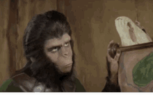 Eyeroll Monkey GIF - Eyeroll Monkey Planet Of The Apes GIFs