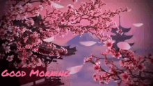 Kirschblüte Guten Morgen Kirschblüte GIF