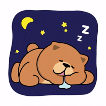 animal bear cute good night sleepy