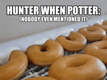 a bunch of donuts on a conveyor belt with a caption that says hunter when potter nobody even mentioned it
