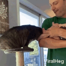 Cat Cuddles With Baby Viralhog GIF - Cat Cuddles With Baby Viralhog Cat Rubbing His Head To The Baby GIFs