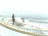 a group of people are standing on a beach near a body of water