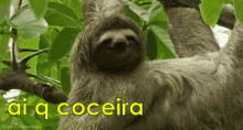 Coçando Coceira GIF - Scratching Itchness GIFs