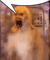 a picture of a dog with its mouth open and a speech bubble