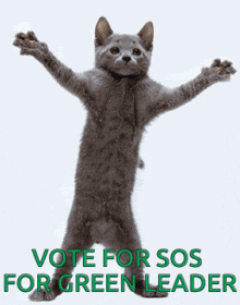 a cat with its arms outstretched and the words vote for sos for green leader on the bottom