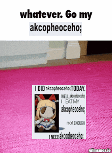 a poster that says whatever go my akcopheoceho