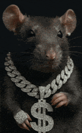 a rat wearing a diamond chain with a dollar sign on it