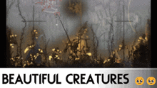 a picture of a forest with the words beautiful creatures