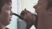 Cat Boop GIF - Cat Boop Ahhh GIFs