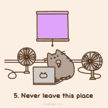 pusheen summer never leave this place