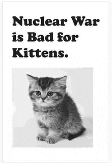 a black and white photo of a kitten with the words `` nuclear war is bad for kittens '' written above it .