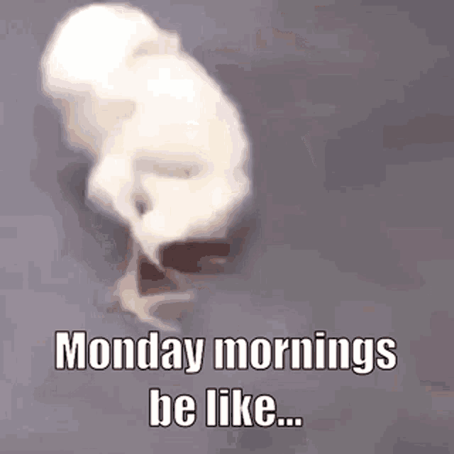 Mondaymood Monday GIF - Mondaymood Monday Morning - Discover & Share GIFs