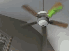Kermit Get Down From There! GIF - Spinning Repetition Cute GIFs